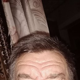 , 61 , 