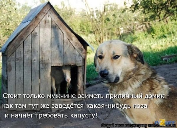   - 10  2025  17:27