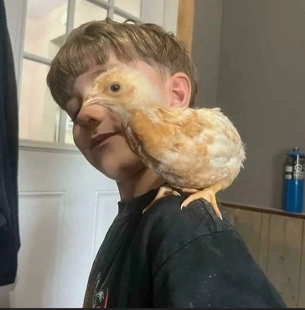 Подборка залипательных фото - 6