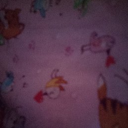 ������, ������������, 40 ���