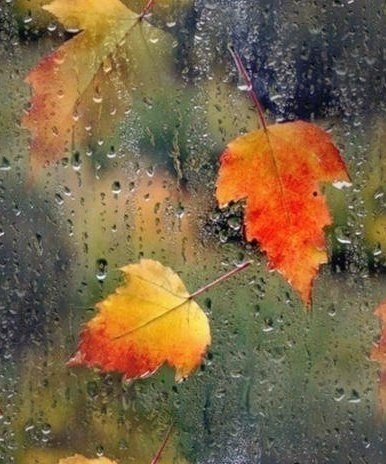    - 9  2025  20:16 - 5