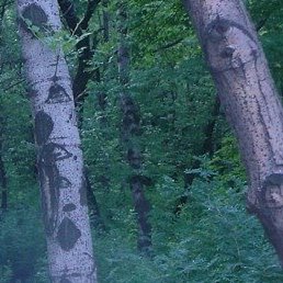 ���, ����