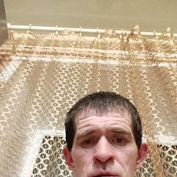 ������, 41 ���, ������