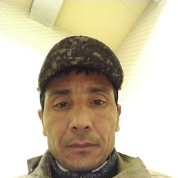 , 41, 