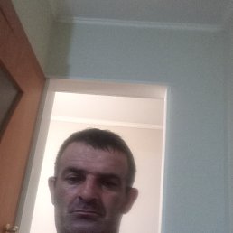 , 46, 