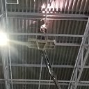 ���� ������, �����-���������, 38 ��� - ��������� 5 ������� 2026 � ������ ���� ����������