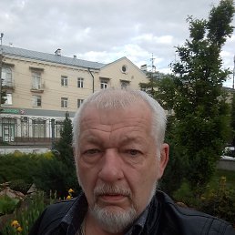 , 61, 