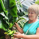 ���� ������, �������, 67 ��� - ��������� 29 ����� 2026