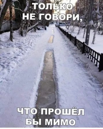  - 6  2024  11:51