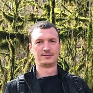 , 41 , 