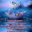 ���� �������, ������-��-���� - ��������� 12 ������ 2026 � ������ ������ ��������