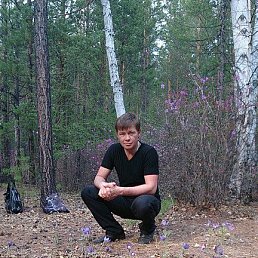 ���� ������, ������, 43 ���� - ��������� 24 ���� 2025