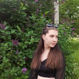 , 17 , 