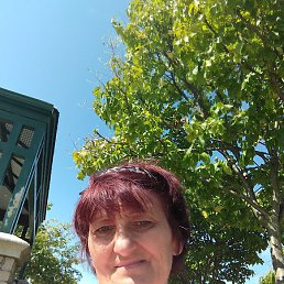 �����, ����