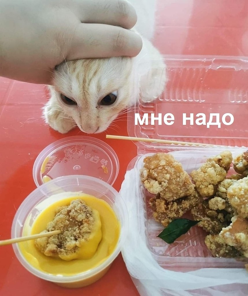 ���� - 8 �������� 2025 � 18:22