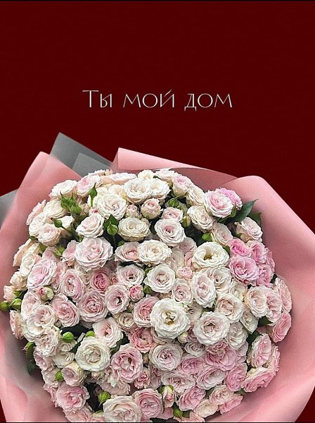Подарите яркие эмоции и впечатления с Moulen Rose (вставить активную ссылку той соц.сети, где ... - 3