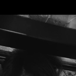 ���������, �������������-����������, 43 ����