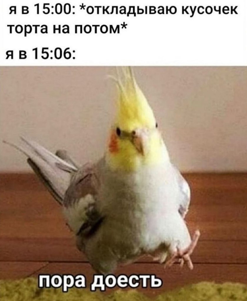    - 9  2024  08:36