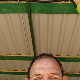 , 53, 