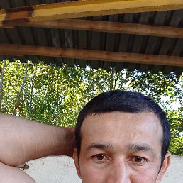 , 38, -