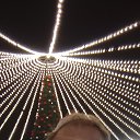 ���� �������, �������, 51 ��� - ��������� 31 ������� 2024 � ������ ������ ��������