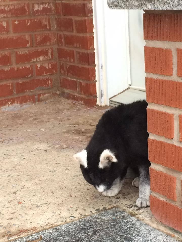 oa ppoa pea oo  oe opac c ocoo aae. apaca a  e, oop ... - 5