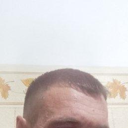 ������, �����������, 43 ����