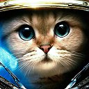 ���� ��������, ����������, 63 ���� - ��������� 3 ����� 2026