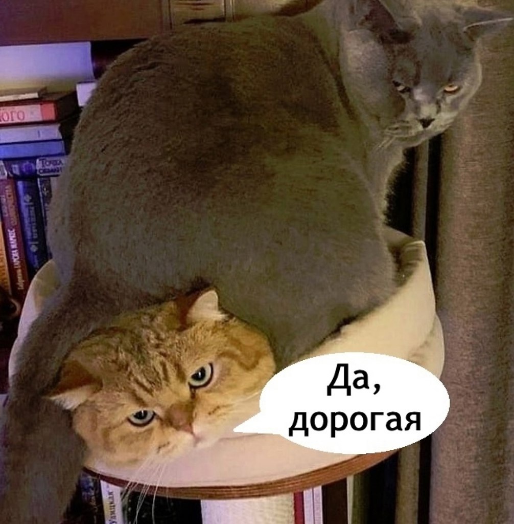     - 5