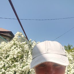 , 49 , 