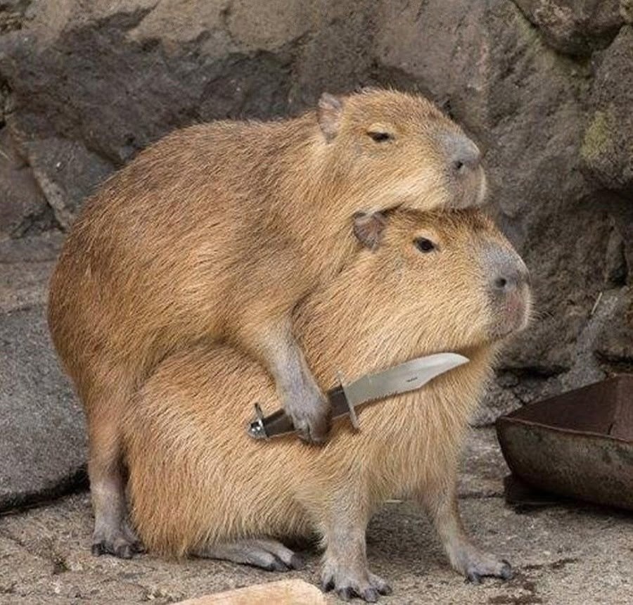 Мужики, не обижайтесь, но это абсолютное большинство - 3