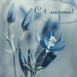 ��������, ������, 28 ���