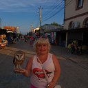 ���� ������, ������, 43 ���� - ��������� 20 ������ 2026 � ������ ���� ����������