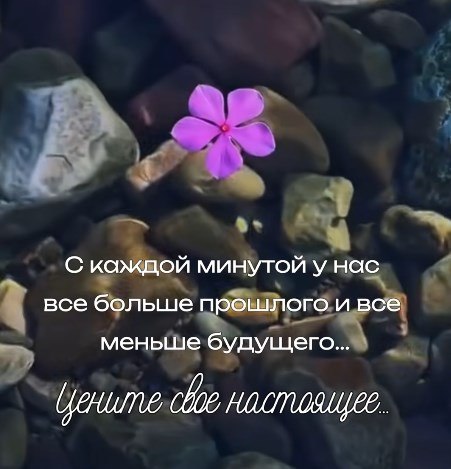 ������ - 31 ��� 2026 � 12:25