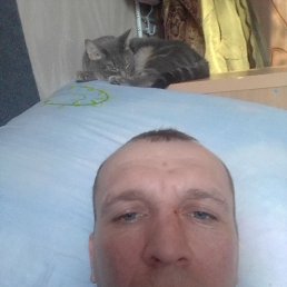 ���� ������, ������ ��������, 37 ��� - ��������� 10 ����� 2024