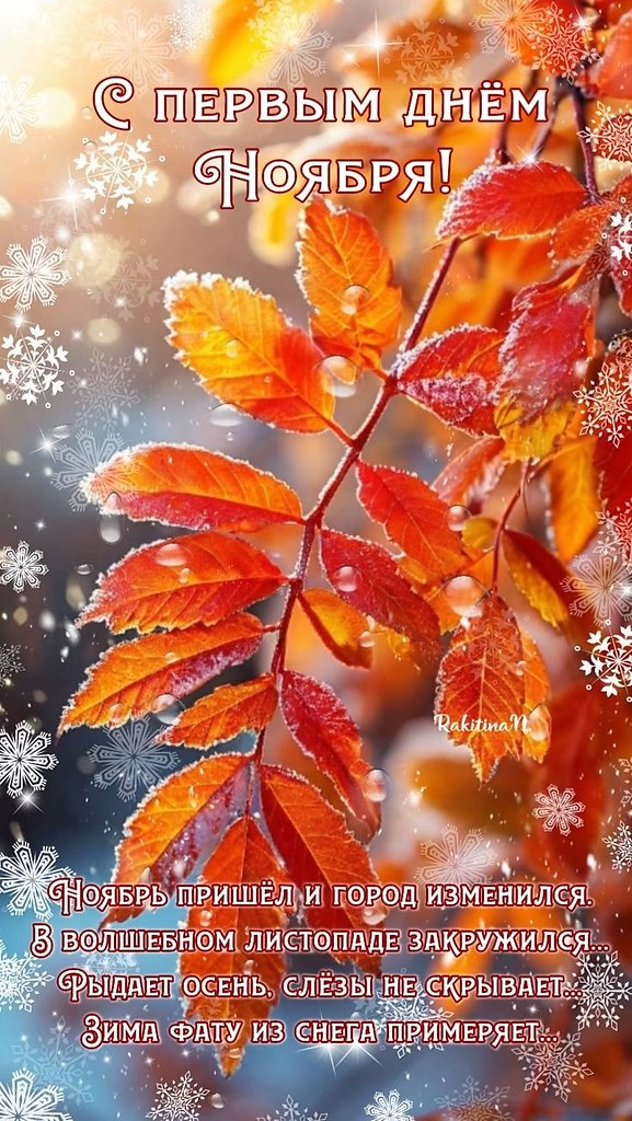   ,    . - 31  2025  23:09 - 2