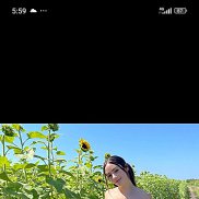 ������, 40 ���, ������