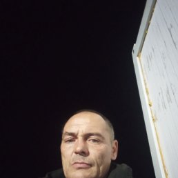 ���� ��������� ��������, �����������, 47 ��� - ��������� 13 ��� 2024