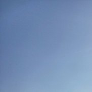 ����, 48 ���, ������