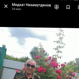 , 65, , - 