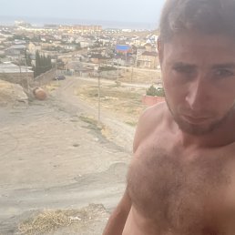 , 33, 