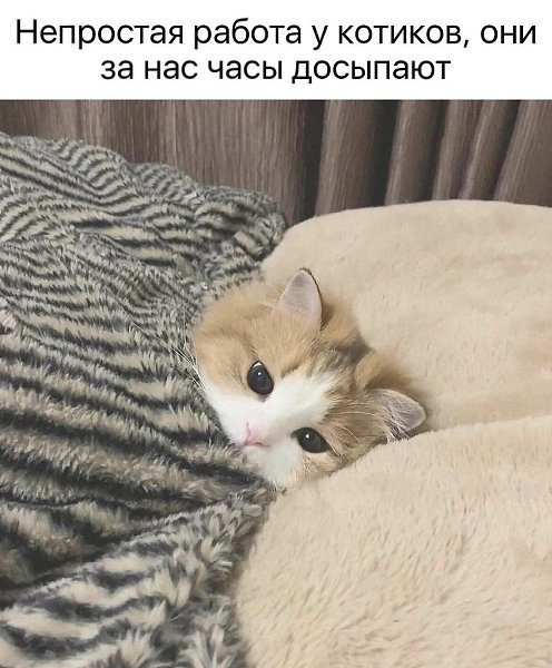   - 10  2025  01:01
