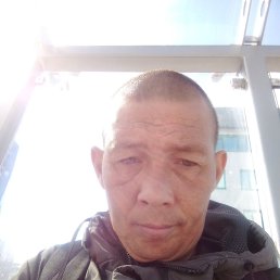, 41, 