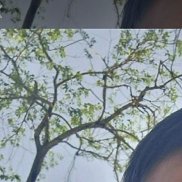 Ali, 27 , 