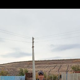 ����� �������, �������, 37 ���