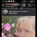 ���� ����, ������, 56 ��� - ��������� 23 �������� 2025 � ������ ���� ����������