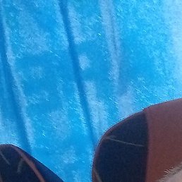 ���������, ���������, 40 ���