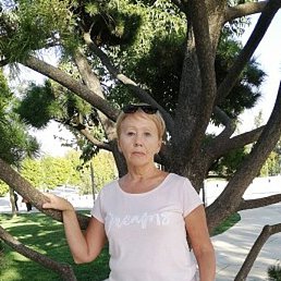 ����, ���������, 66 ���