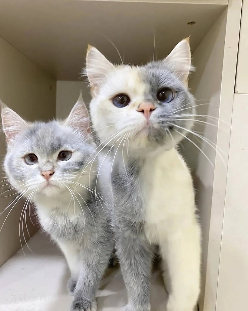 -, -:       ,   , ... - 3