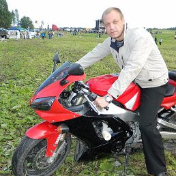 �����, 46 ���, �����